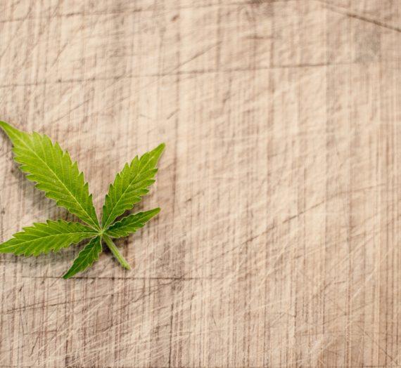 The lowdown on cannabis, CBD and mental health