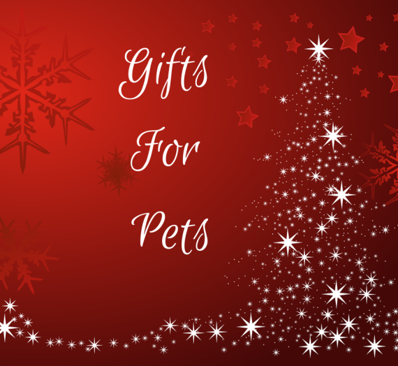 Gifts For Pets #HolidayGiftGuide2019