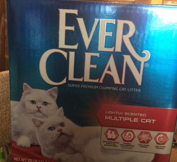 Ever Clean Multi-Cat Clumping Cat Litter #ChewyAmbassador