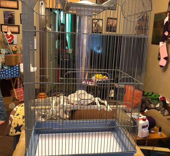 Bird Central Parakeet & Finch Cage From Ware Pet Products