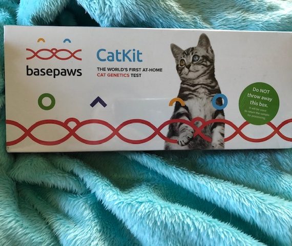 Basepaws Cat DNA Kit