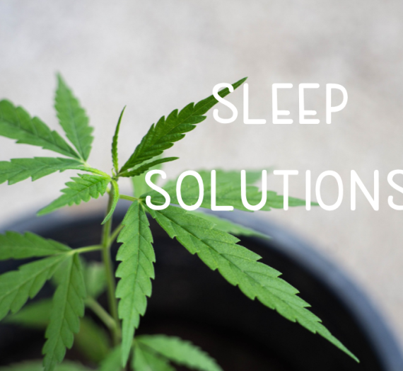 Sleep Solutions 2020 CBD Product Guide